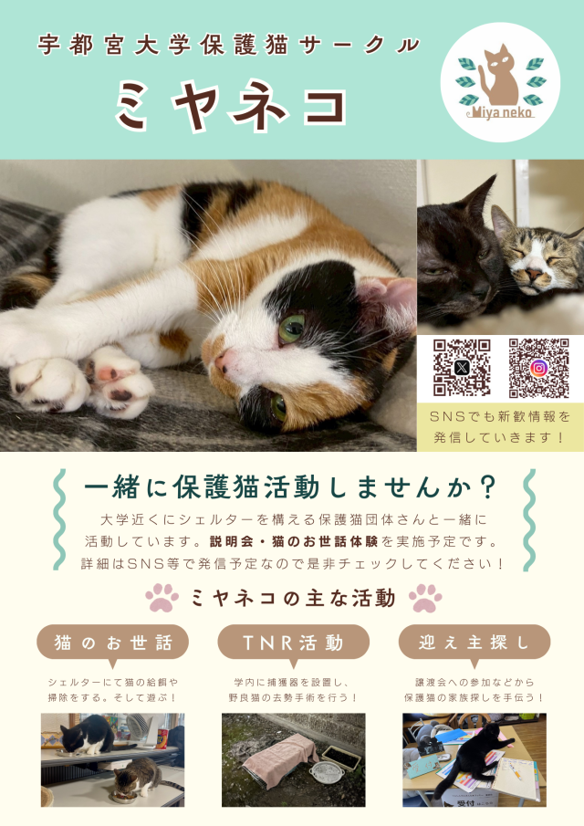 ミヤネコ(保護猫サークル)新歓ビラ