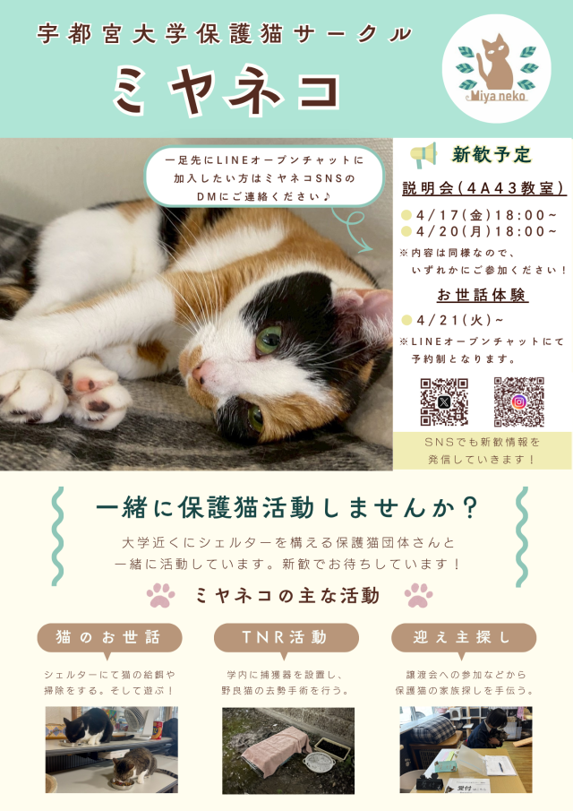 ミヤネコ(保護猫サークル)新歓ビラ