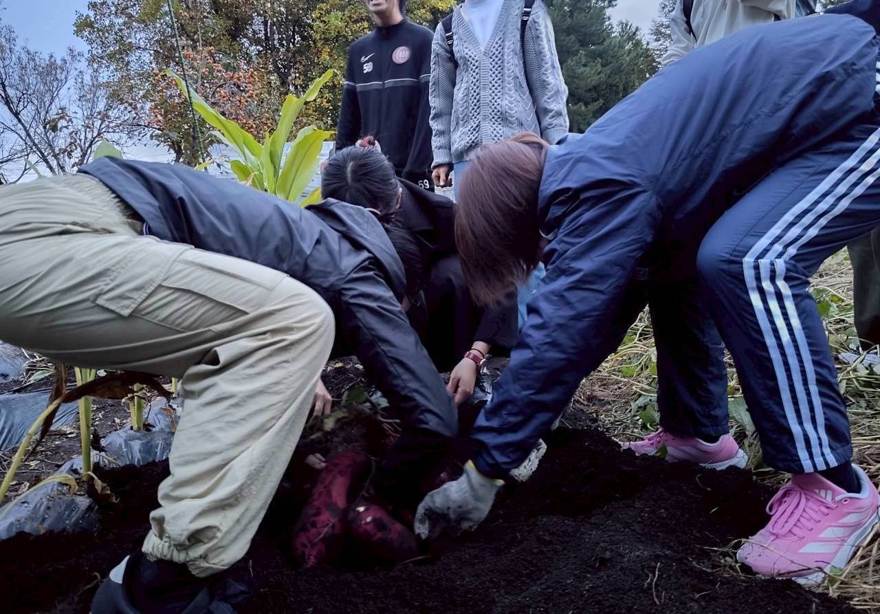 園芸研究会の活動の様子