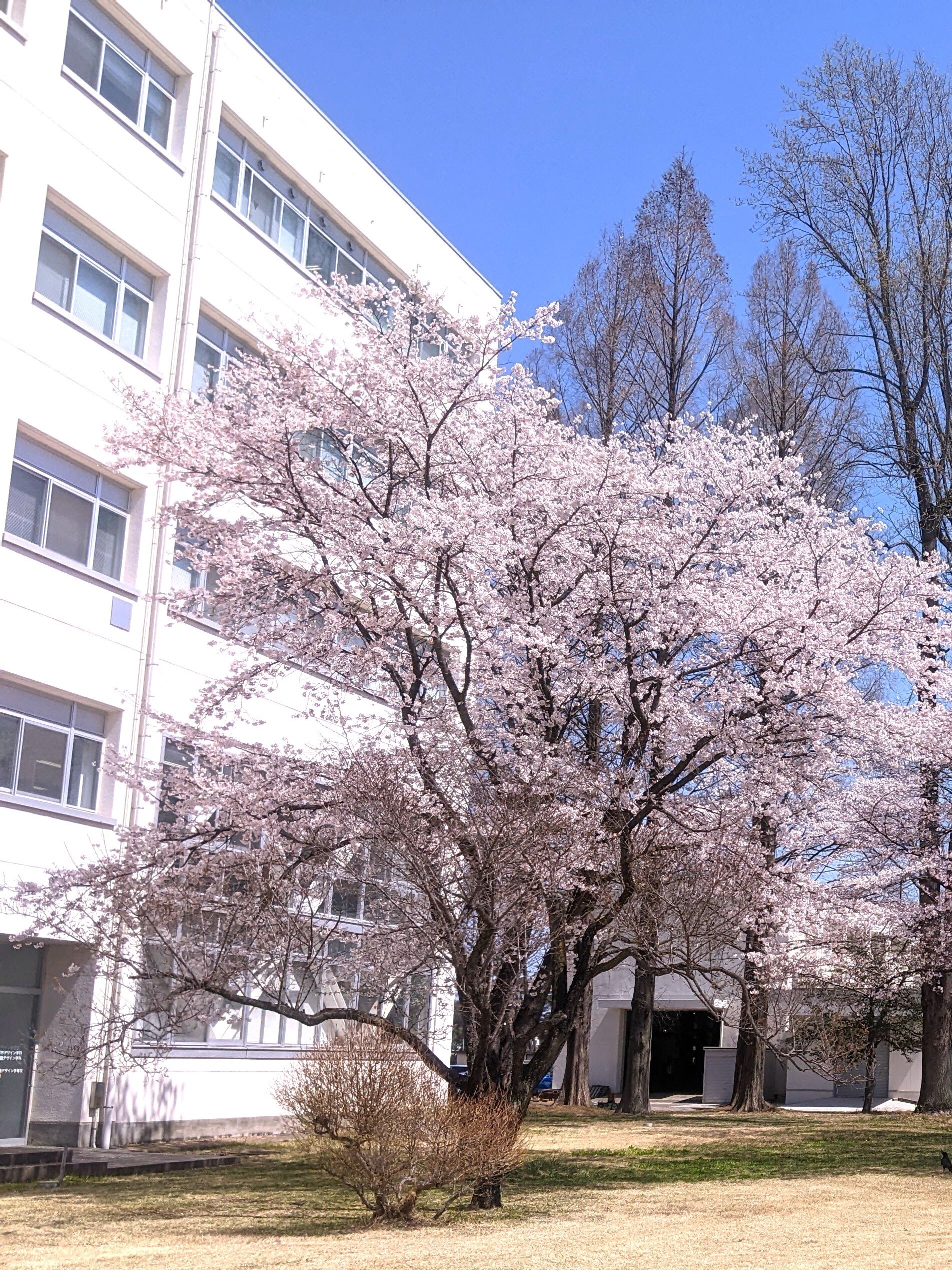 UU-PRASの活動の様子